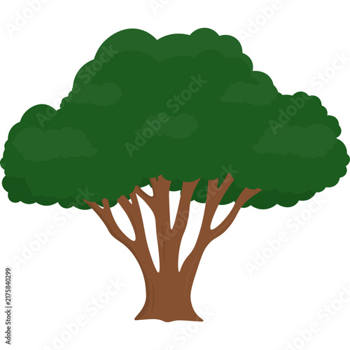 Tree Illustration