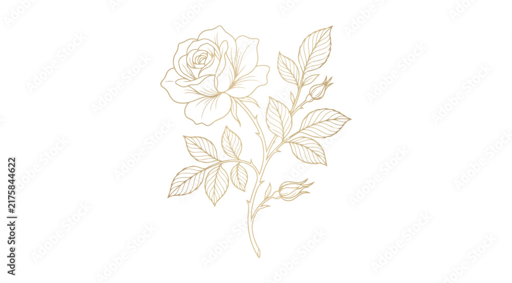 Obraz premium Elegant handdrawn rose branch illustration with leaves and buds, delicate botanical line art drawing in gold ink style, sophisticated floral design element