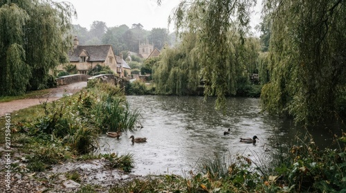 Idyllic English village pond with ducks and weeping willow trees.