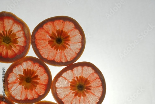 Canvastavla A background of backlit orange slices