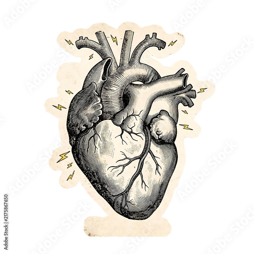 Vintage Anatomical Heart Clipart Illustration for Scrapbook Art