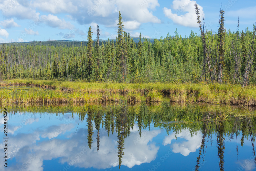 Naklejka premium Lake in tundra