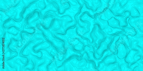 Modern Topographic Map Line Vector