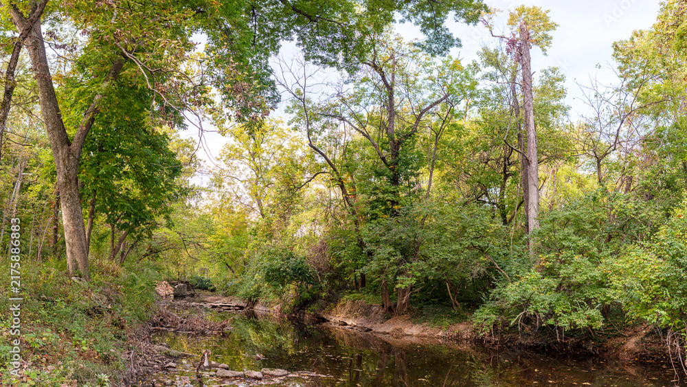 Obraz premium Scenic view of Gravois Creek at White Cliff Park in St. Louis, Missouri 