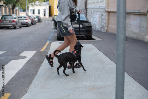Foto A young woman walks a small black dog on a city sidewalk