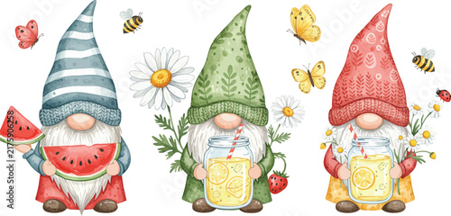 Three cute watercolor gnomes celebrating summer with watermelon lemonade flowers bees and butterflies isolated on a white background design element