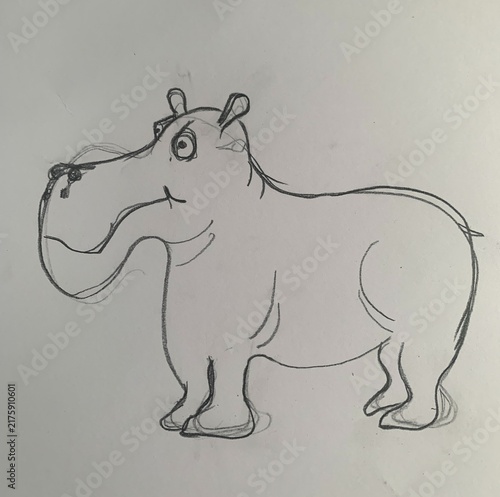 Obraz na plátně Hippopotamus on white paper