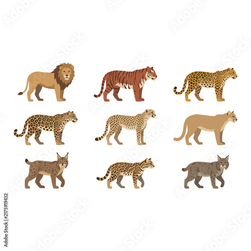 Canvas Print Adobe Illustrator Artwork