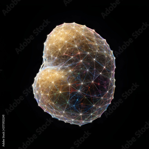 potato isolated with black background neural network