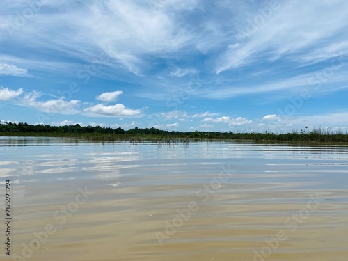 Scenic View of Blue Sky Reflected on Rippling Water at Ratargul Swamp Forest