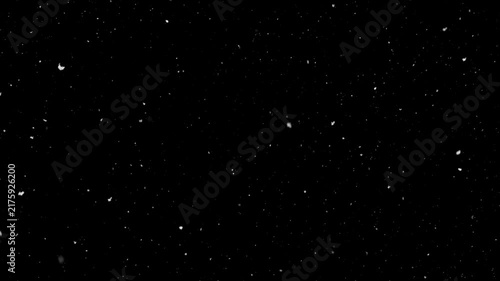 slow falling snow on the black backgrounds