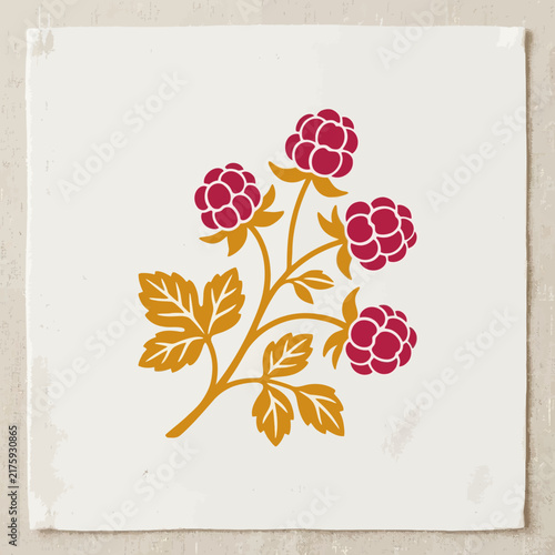Stylized illustration of a raspberry plant with leaves and berries.