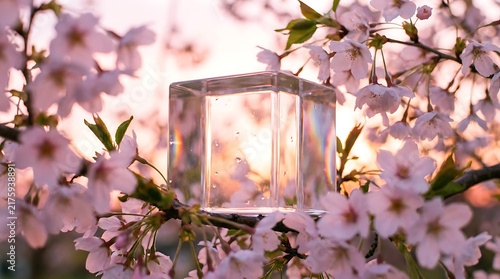 Crystal Cube Amidst Cherry Blossoms: A transparent crystal cube rests delicately on a branch of a blooming cherry tree.