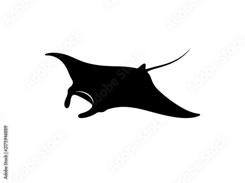 Manta ray silhouette, swimming marine stingray ocean wildlife vector icon