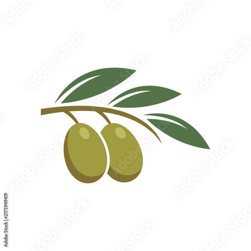Olive illustration vector