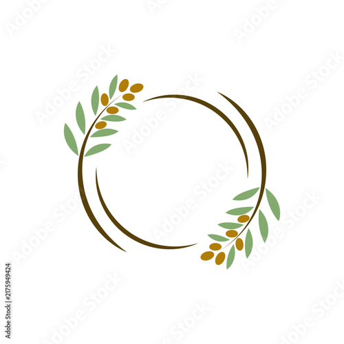 Olive illustration vector