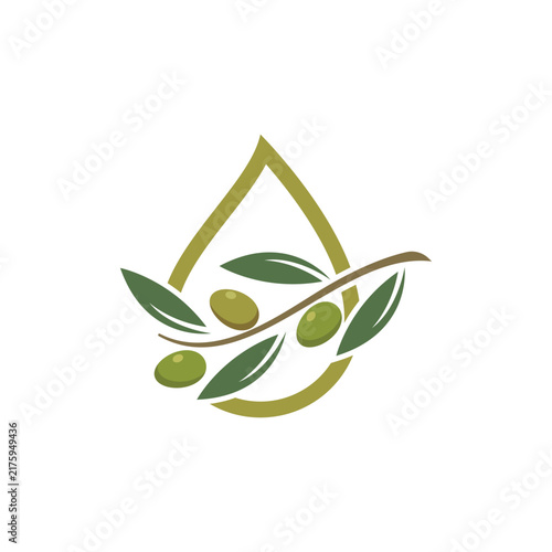 Olive illustration vector