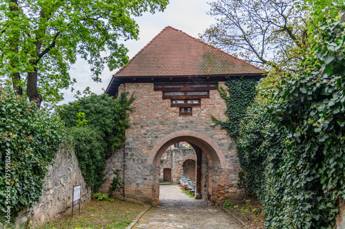 Canvas Print Ivy covered medieval gatehouse of Esztergom Castle with old bronze bells beyond,