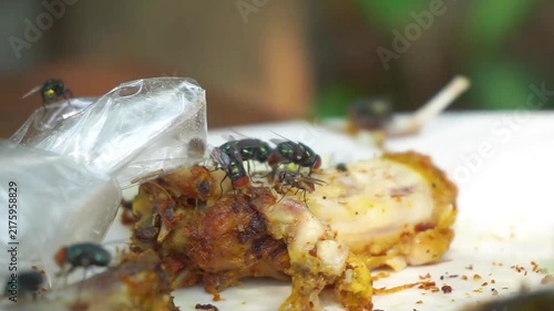 Flies swarming on leftover food