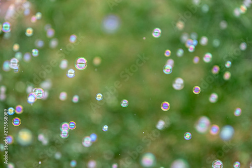 Fotografie Soap bubbles floating over green background