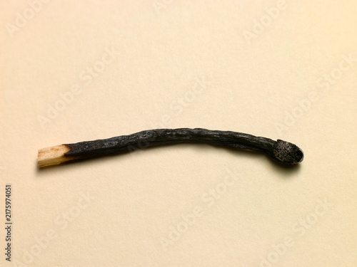 Burnt Matchstick