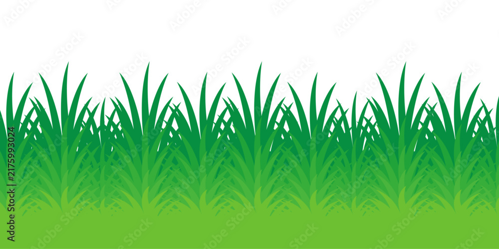Fototapeta premium green grass illustration, sustainable grass nature, grass design in flat style 