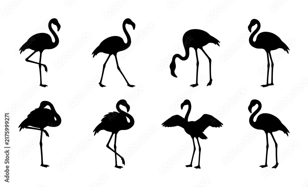 Fototapeta premium Flamingo Silhouettes Vector Set, Elegant Bird Poses Collection, Tropical Wildlife Graphics, Simple Black and White Animal Icons