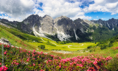 Mountain panorama with red flowers of the Schlick Mountains with Kalkkogel on the Kreuzjoch near Fulpmes