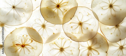 Collage of Circular Fresh Apple Slices with Distinct Cores Arranged as a Translucent Food Background