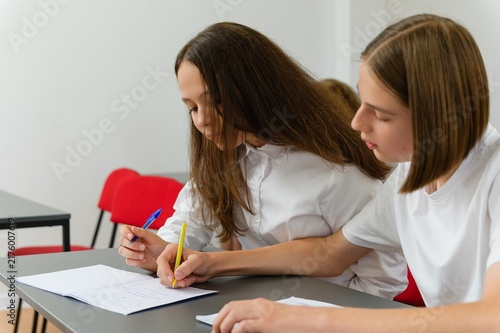 Принти на полотні Teenage boy writes in a female classmate notebook while helping her correct an assignment during a lesson at school