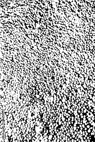 Monochrome vector texture. Black grainy pattern on an isolated colorless Abstract background.