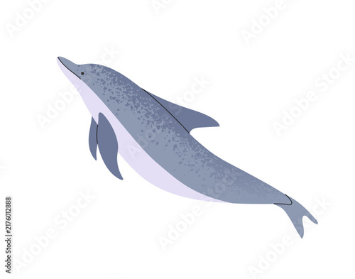 Cute bottlenose dolphin is swimming underwater. Friendly and clever undersea animal with fins. Sea life. Ocean fauna. Tropical water wildlife. Flat isolated vector illustration on white background