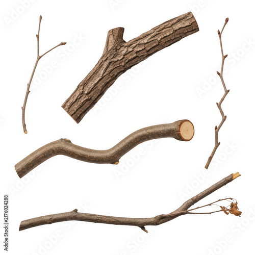 Collection of wooden sticks and branches on white background