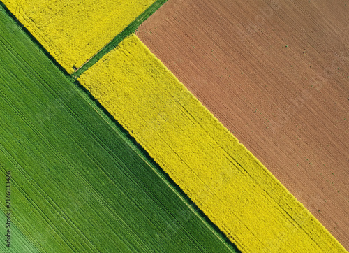 Aerial view of vibrant yellow rapeseed fields adjacent to lush green crops and tilled brown soil in the countryside of Macerata, Marche, Italy.