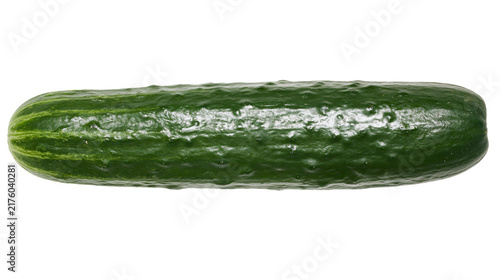 Cuadro en lienzo Dark green bumpy cucumber with striped skin, isolated on transparent background