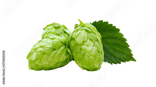фотографія Three green hop cones with a leaf, isolated on transparent background