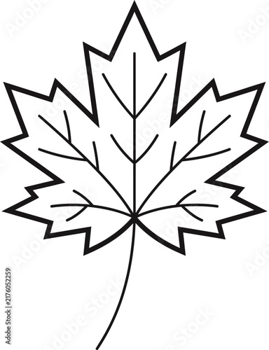 Detailed line art illustration of a single maple leaf