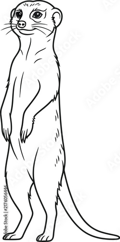 vector illustration of a animal