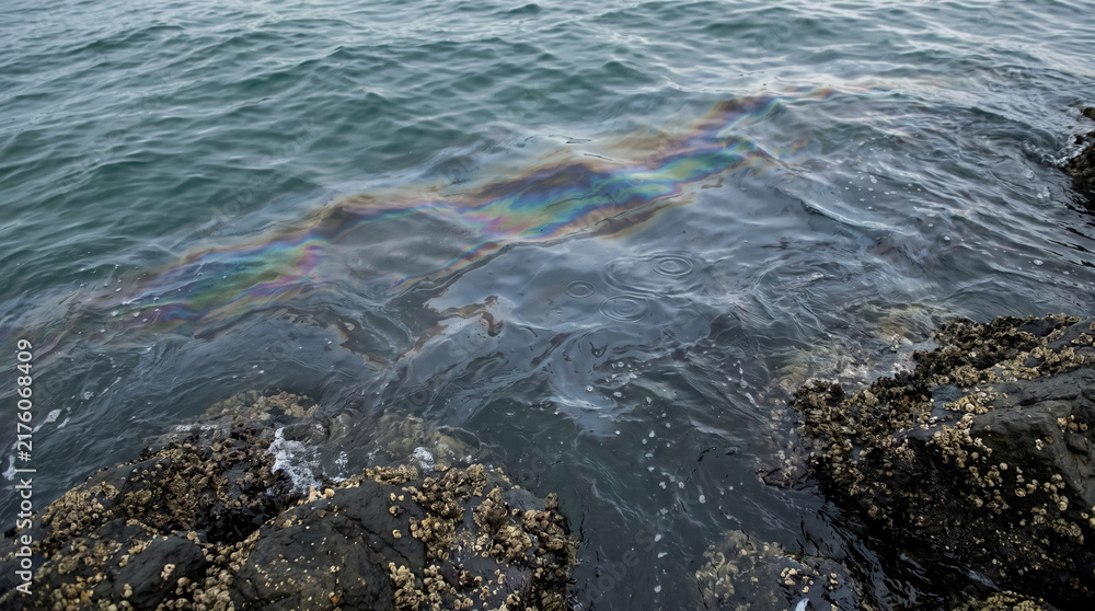 Obraz premium Oil slick creating iridescent rainbow colors on water near dark rocks, symbolizing environmental pollution and ecological impact
