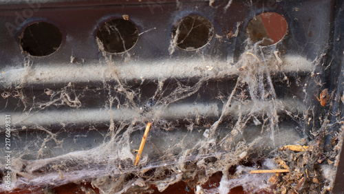 Foto Cobwebs inside a household appliance, mixed with dust and insect remains—a grunge background
