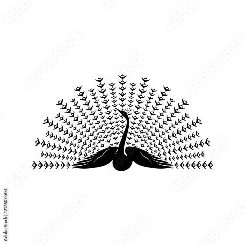 abstrack phoenix or peacock vector logo
