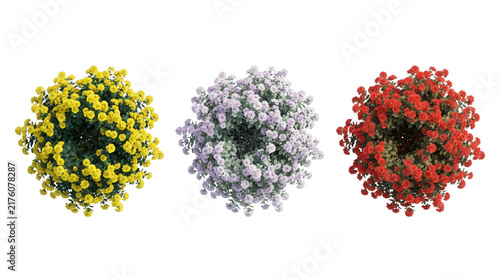 Tre cespugli fioriti rotondi visti dall'alto con fiori gialli, lilla e rossi isolati su sfondo bianco, ideali per progetti di design e architettura paesaggistica.