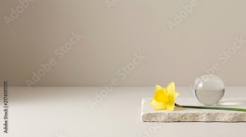 Minimalist composition featuring a yellow daffodil flower and a glass sphere on a white stone slab
