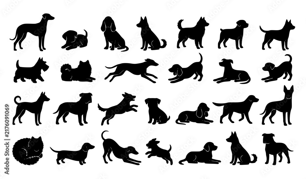 Fototapeta premium Dog Breed Silhouette Pose Mega Collection