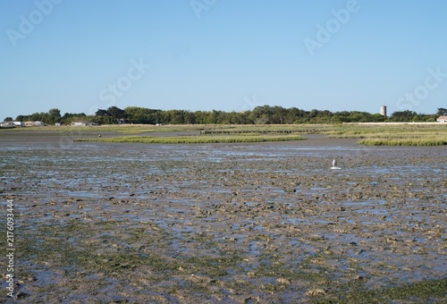 Foto A coastal mudflat scene at low tide features a resting yellow buoy, a distant boat, and a wooden pier reaching out over calm water beneath a sunny horizon