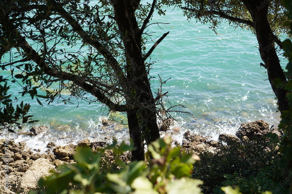Fototapeta premium Turquoise ocean waters gently lap against a rugged, rocky coastline, framed by the dark silhouette of tree branches in the foreground. 