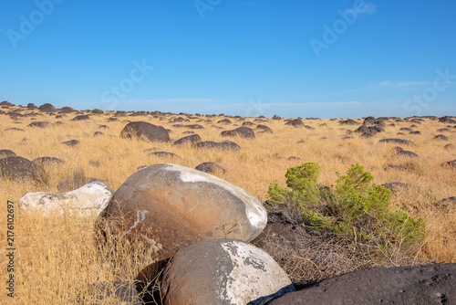 basalt melon gravels depositied by the Bonneville Flood near the Snake River, Idaho