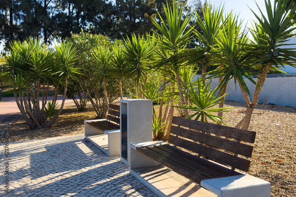 Naklejka premium Rectangular concrete stepping stones forming pathway in modern gravel garden with ornamental grass. Real Photo