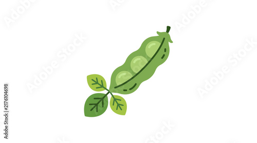 Flat green pea pod illustration with organic leaves