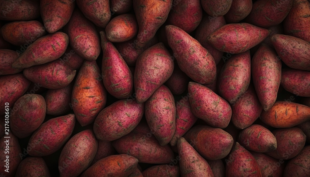 Obraz premium Organic Raw Sweet Potatoes A Bunch of Naturally Textured Root Vegetables Full Frame Background Raw.